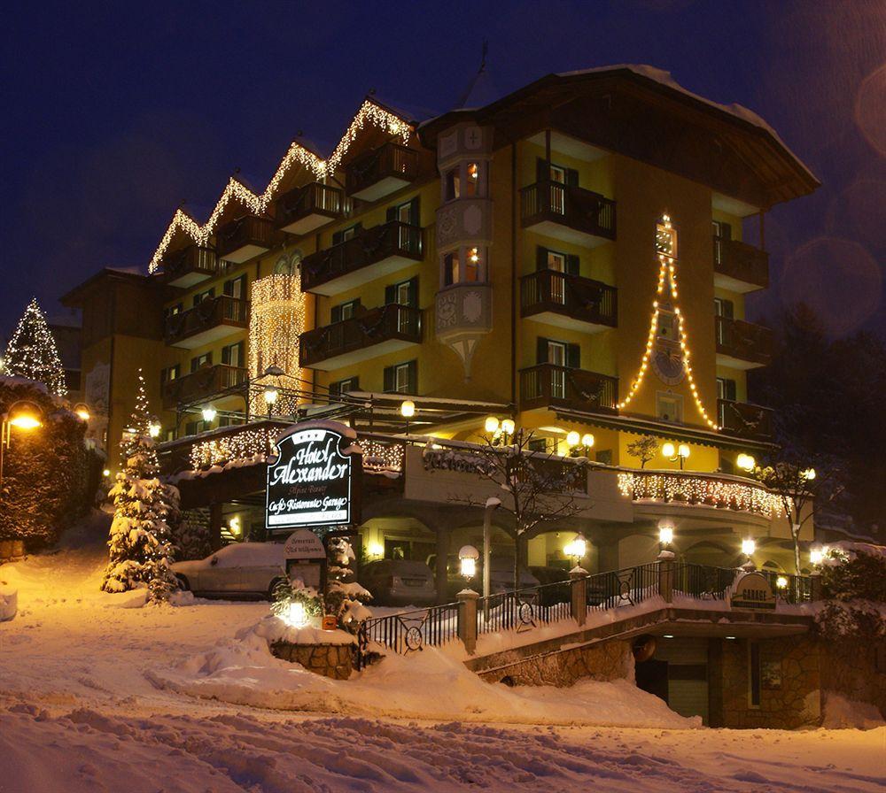 Alexander Hotel Alpine Wellness Dolomites 몰베노 외부 사진
